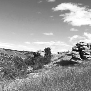 Fruitlands - Central Otago - B&W.jpg