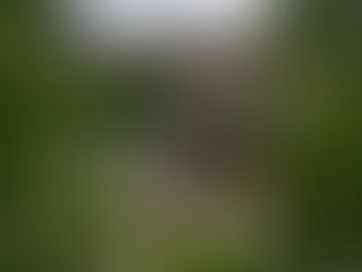 Footbridge looking over to finchale abbey priory