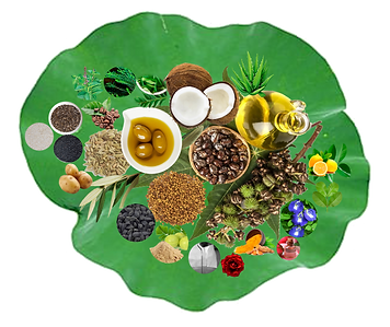 HUSHELE - INGREDIENTS.png