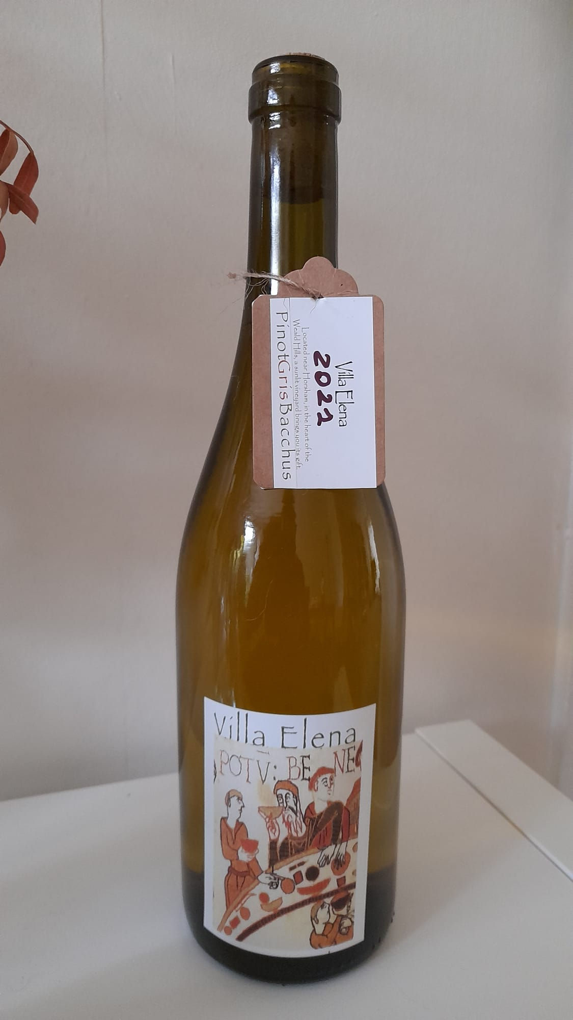 Villa Elena 2021