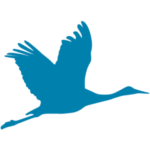 Ascending Crane