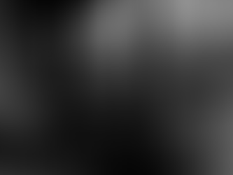 A Yangtze Landscape (2017)