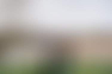 photo d'une famille de 4 personnes jouant avec les enfants