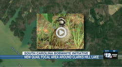 3,000 Acre Focal Area Added in McCormick County