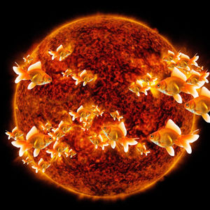 Goldflares | digital collage | Hester Brink