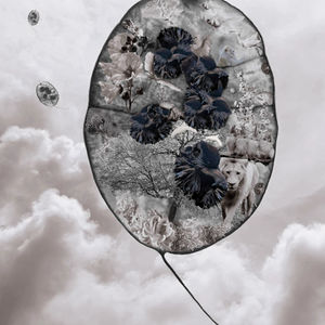 Promises of life | digital collage | Hester Brink