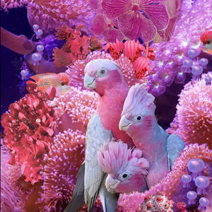 Ibiza | digital collage | Hester Brink