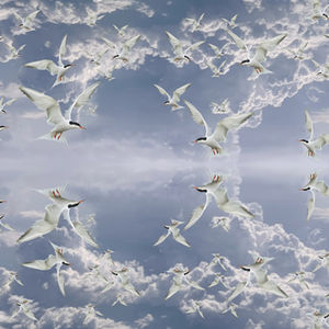 Headwinds | digital collage | Hester Brink