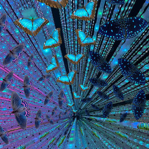 Metamorphosis | digital collage | Hester Brink