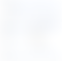 Complinaceabklärungen einfach und effizient abwickeln