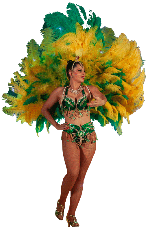 brazil transp.gif