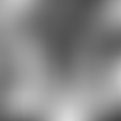 Corinthians x Palmeiras, tudo o que você precisa saber sobre o Dérbi pelo Paulistão