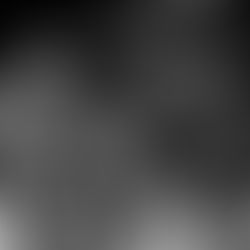 Gaviões da Fiel levam legado indígena ao Sambódromo no Carnaval 2026 e convocam a Fiel para torcer pelo título