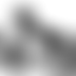 Novorizontino x Corinthians: saiba tudo sobre a estreia do Timão na Copa do Brasil 2025