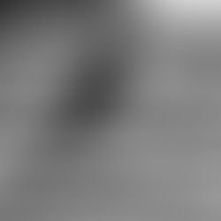 Corinthians inicia preparação para enfrentar a Chapecoense e indica possíveis mudanças na equipe