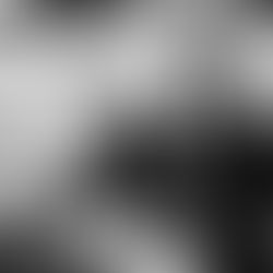 Base do Corinthians passa por reformulação profunda, Erasmo Damiani detalha cortes, metas e novo modelo de gestão