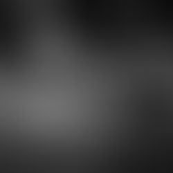 Gaviões convocam manifestação no Parque São Jorge durante votação da reforma do Estatuto do Corinthians