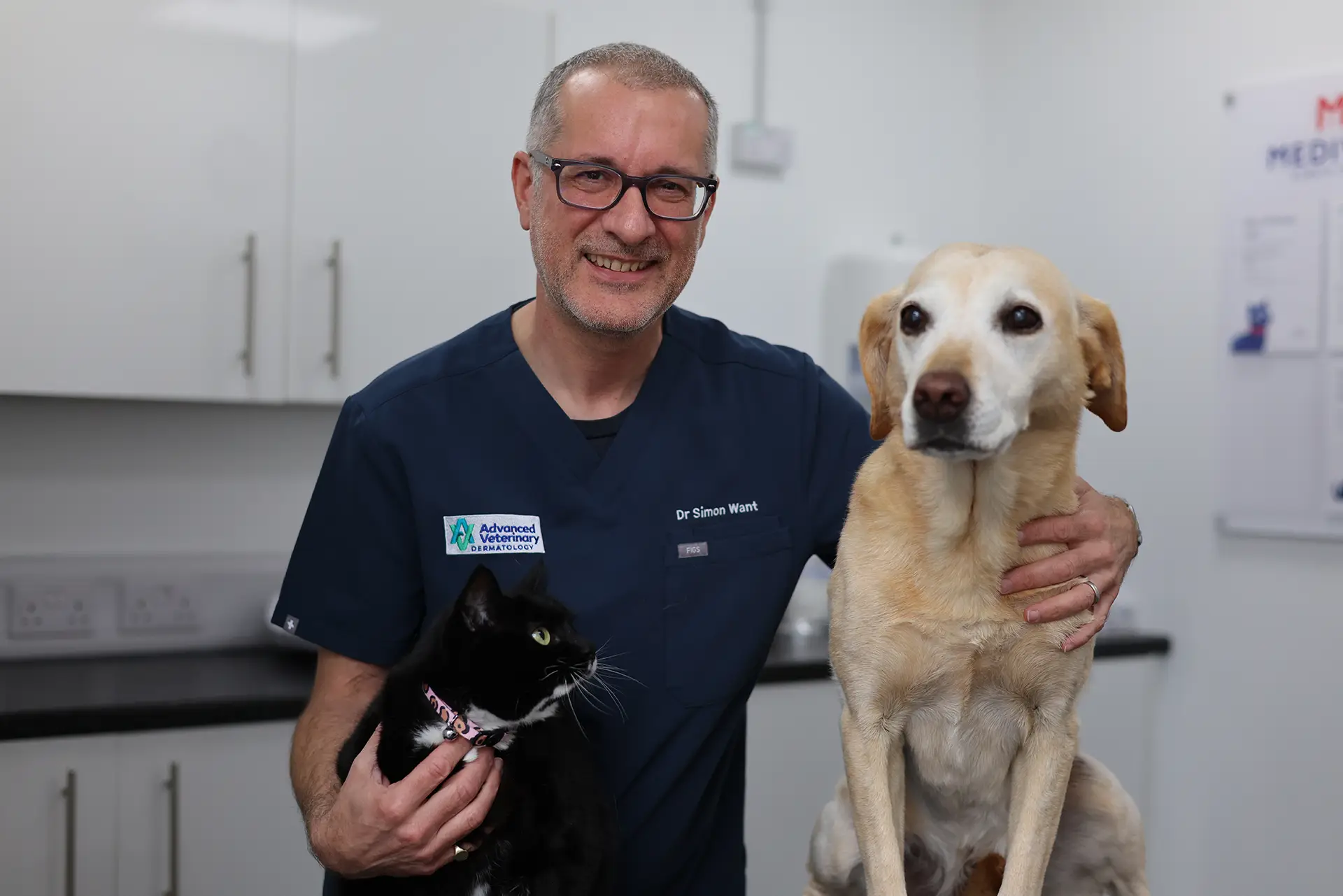 Writer: Dr Simon Want BVM&S CertVD MRCVS RCVS