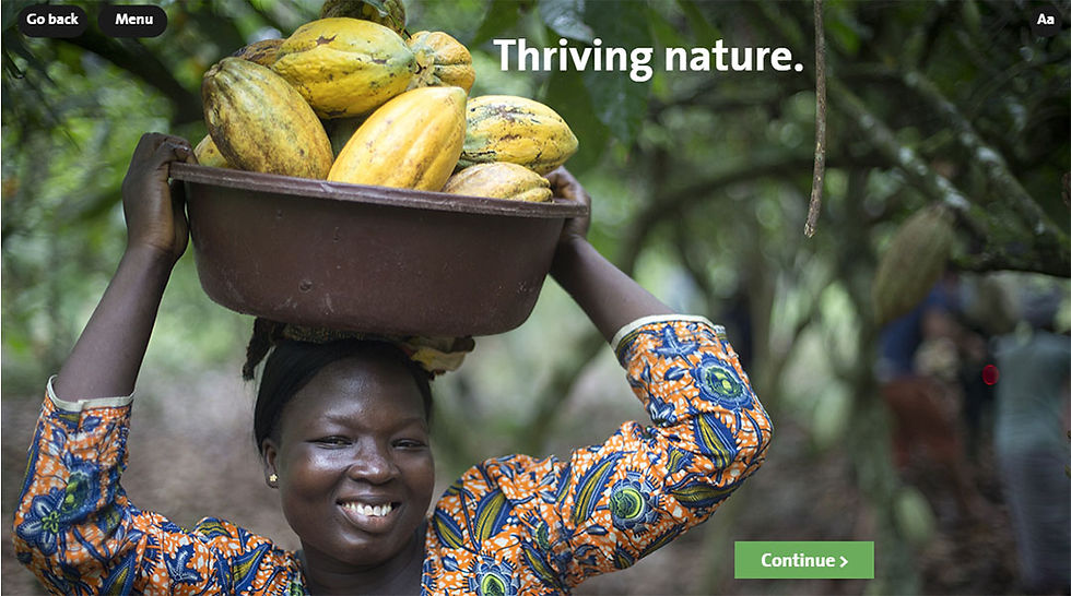 Smiling Lady With Frut