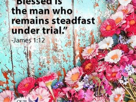 Steadfast Hope...ππΎ