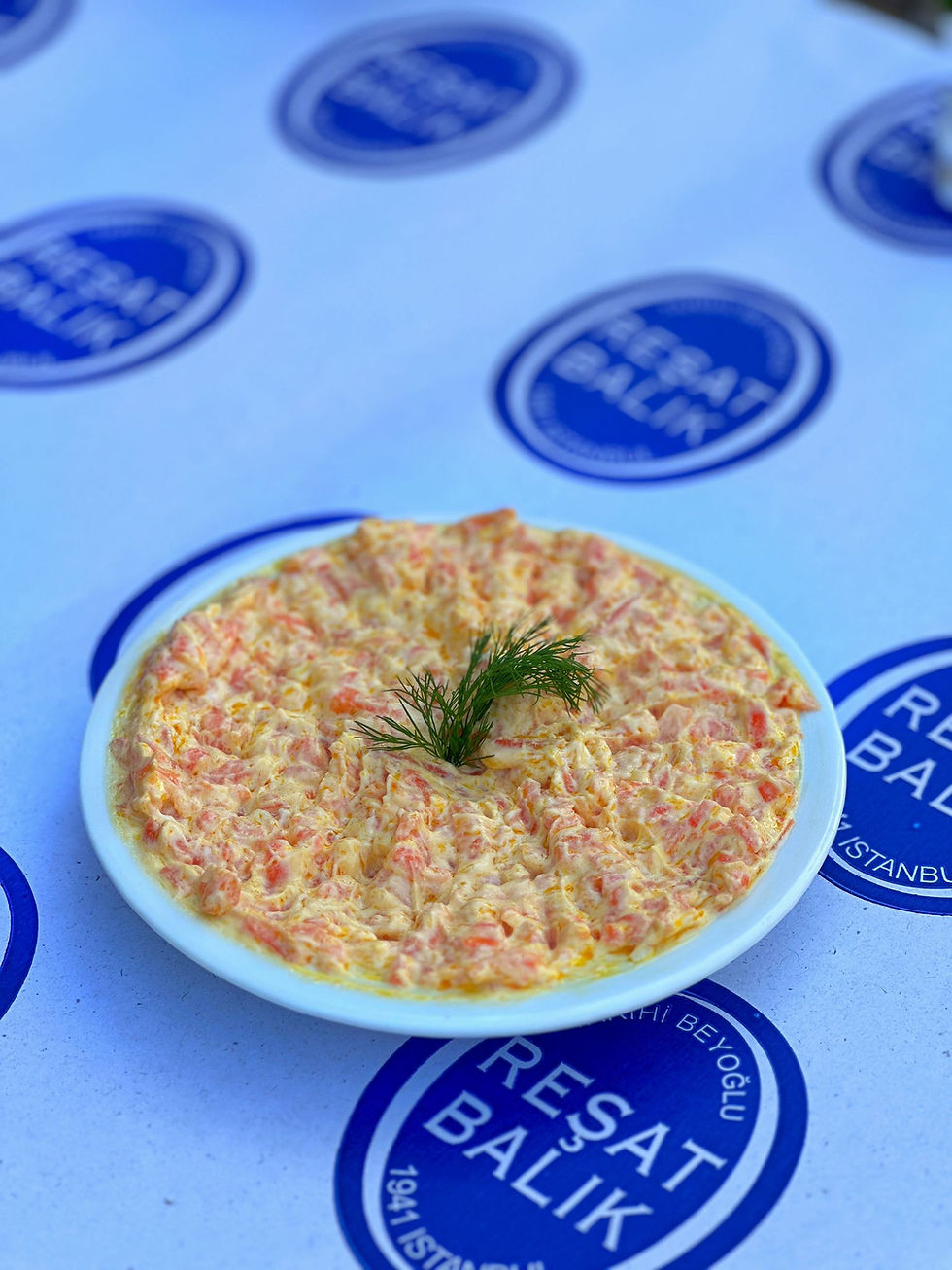 Küçük resim: Havuç Tarator