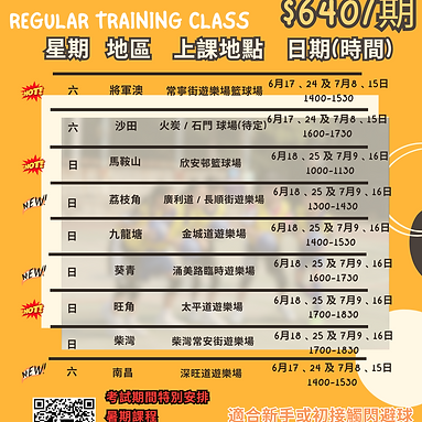 2023年6月 - 閃避球新星恆常訓練班 (A4 文件) (1).png