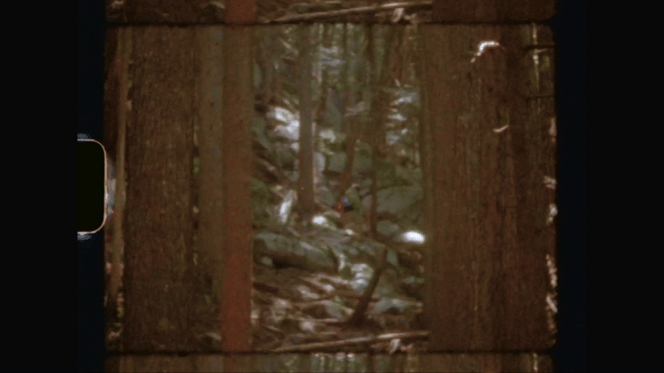clips Clip 5.gif