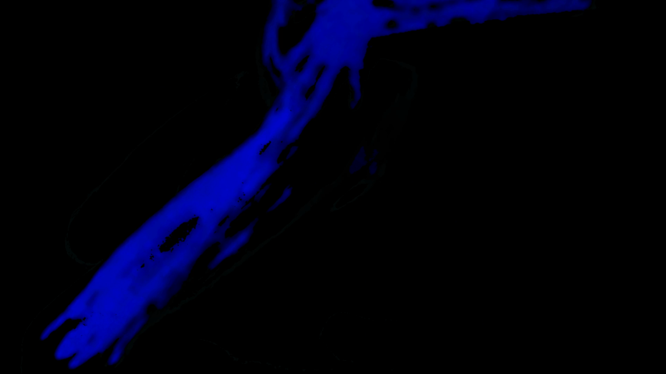 preview antropo.gif