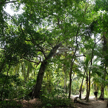 DSCF1427.jpg