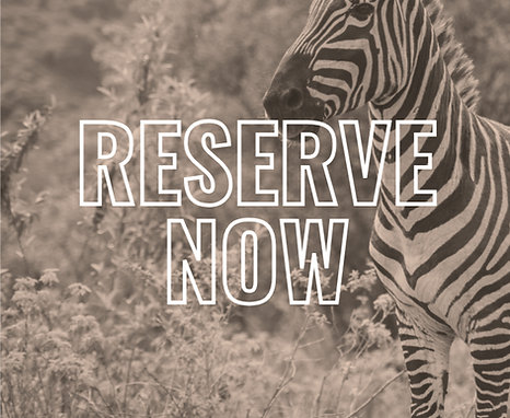Kenya Camp 2026 | Reservation