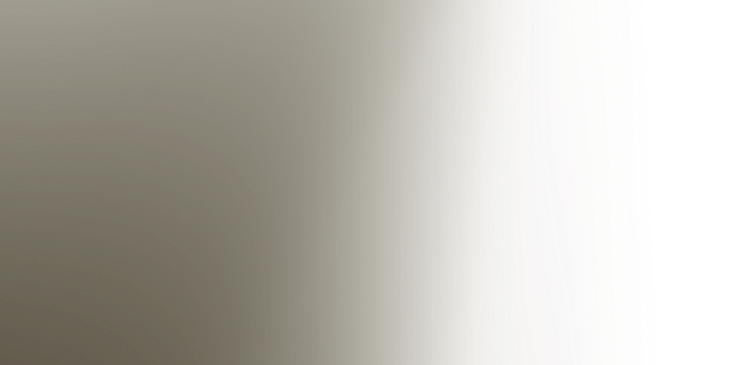 website fade 2026_edited.png