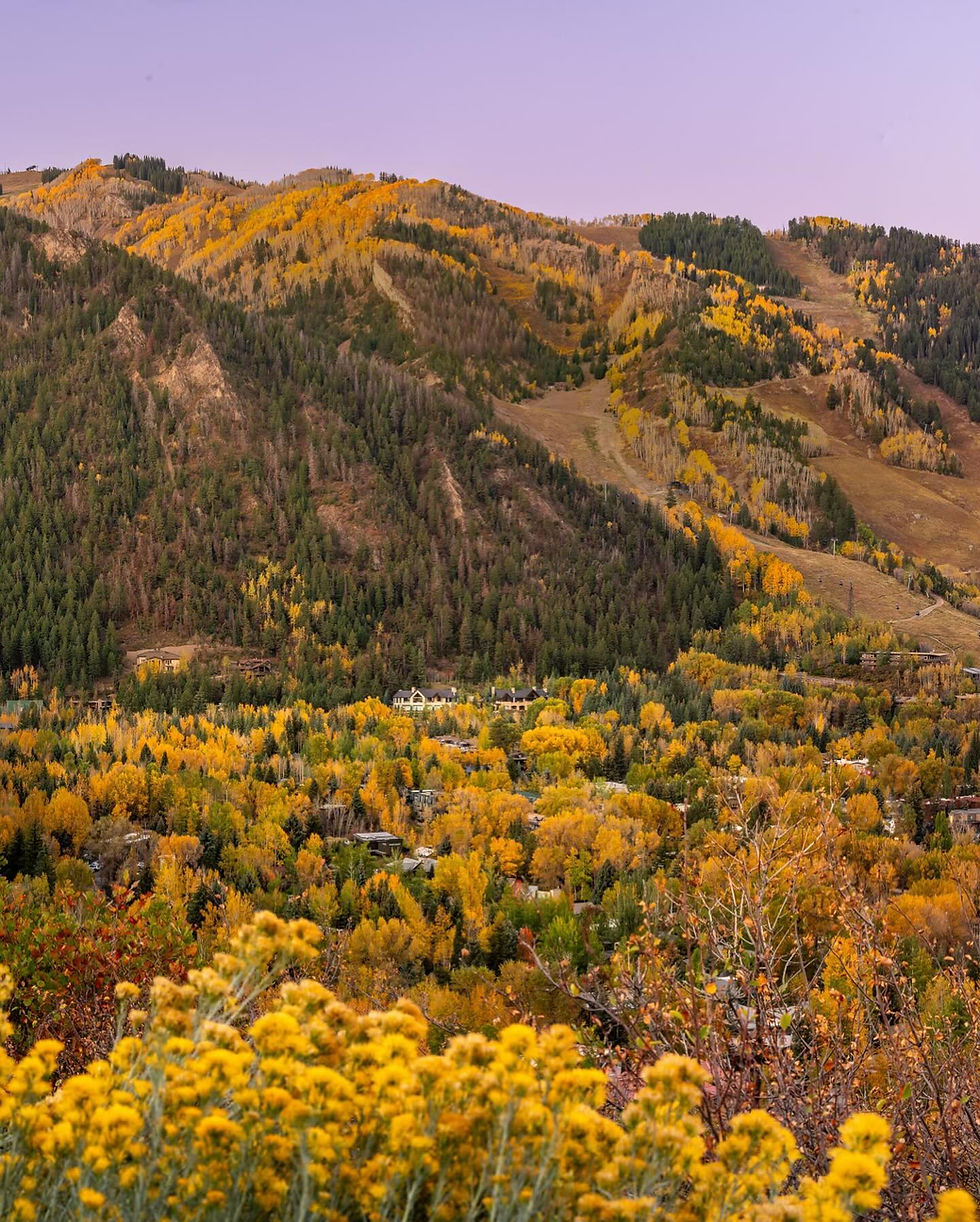 Scenic view of a mountain landscape with autumn foliage in yellow and green. Foreground has vibrant yellow flowers under a clear sky.