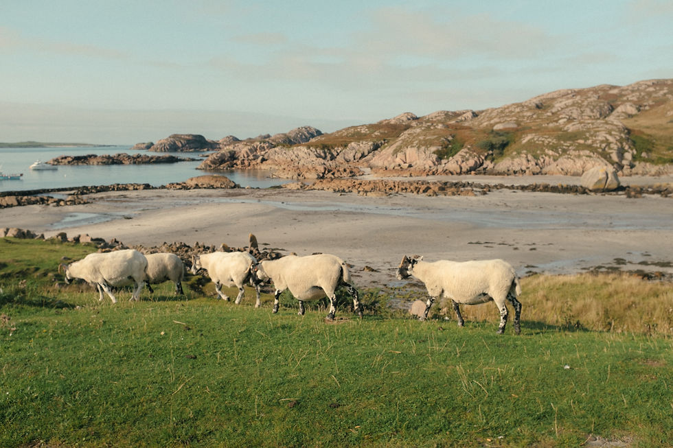 The Scottish Highlands