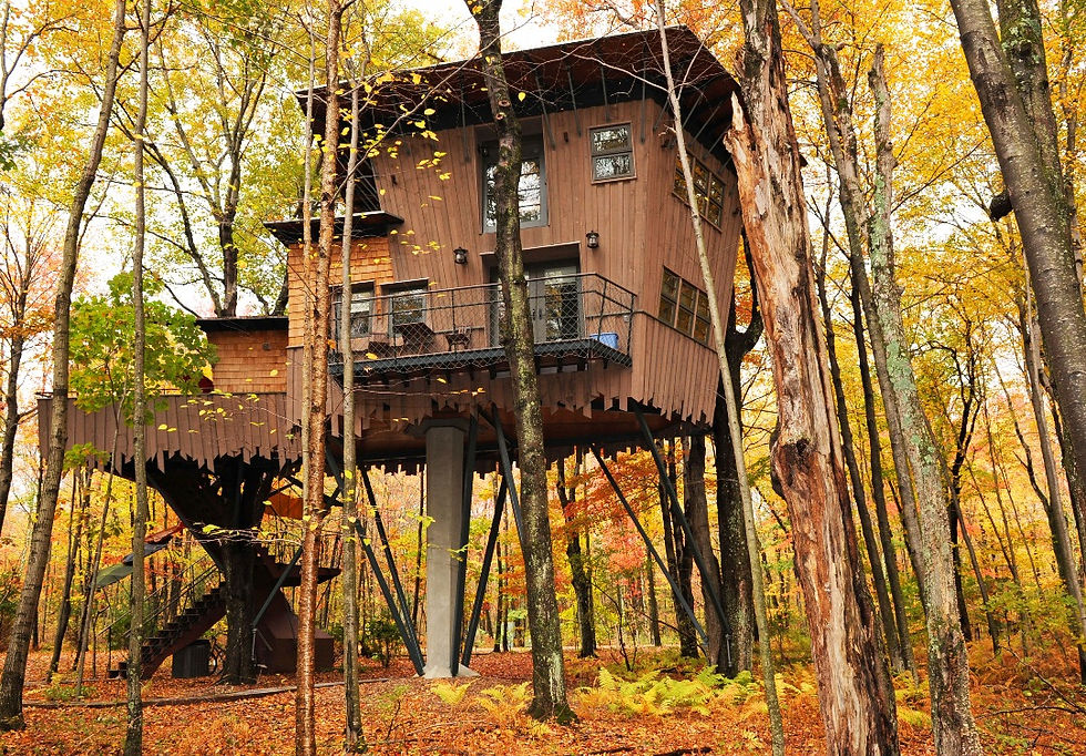Winvian Farm unique luxury cottage resort in Morris, Connecticut with whimsical architecture nestled in wooded acres with fall foliage