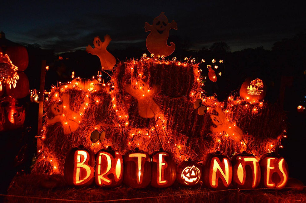 Pumpkin Glow Path In New Jersey