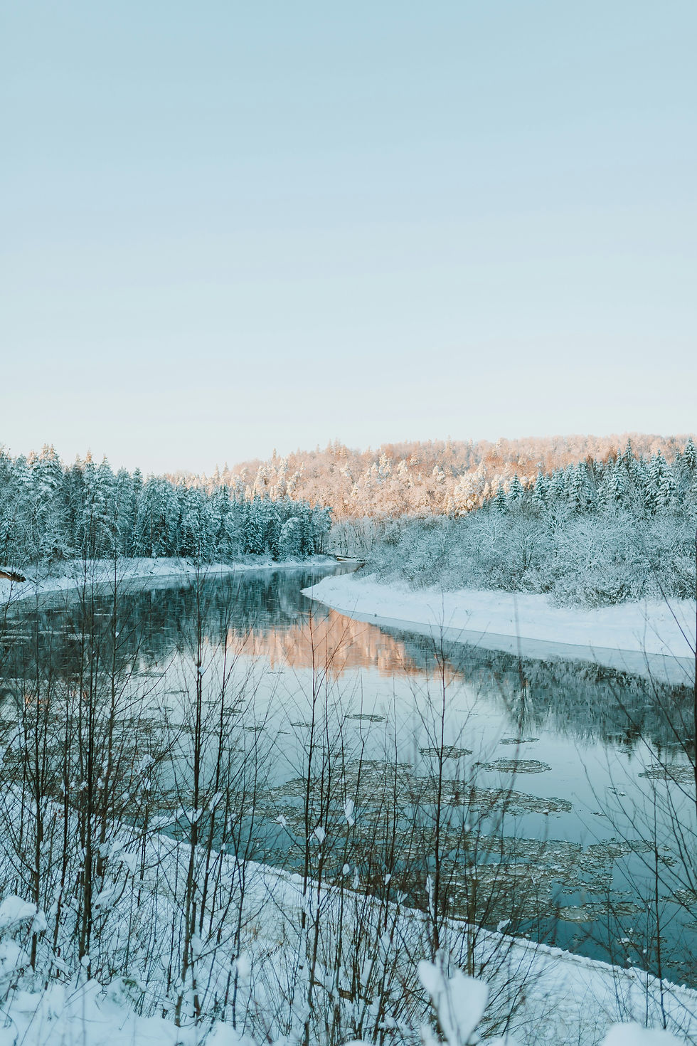 Snow-covered trees line a serene river reflecting the clear sky. Bare branches in the foreground, creating a peaceful winter scene.