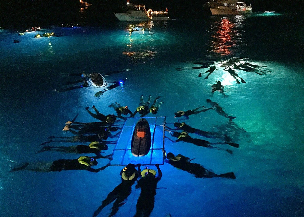 Snorkeler floating above a large manta ray glowing in underwater lights during a night snorkel tour off the Kona coast, Big Island, Hawaii