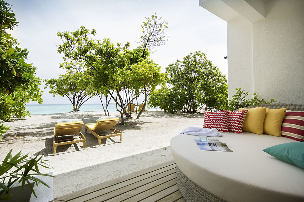 Beach scene with lounge chairs under green trees by the sea. Cozy patio with colorful pillows. Relaxing and serene atmosphere.