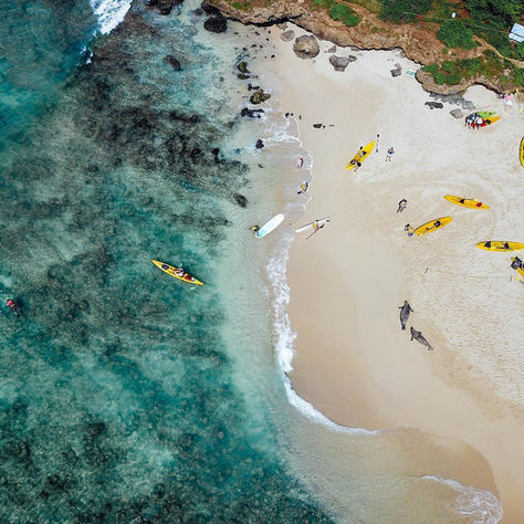 10 Best Oahu Tours and Excursions You Need to Book in 2026