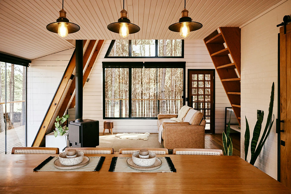 Mid Century modern home design