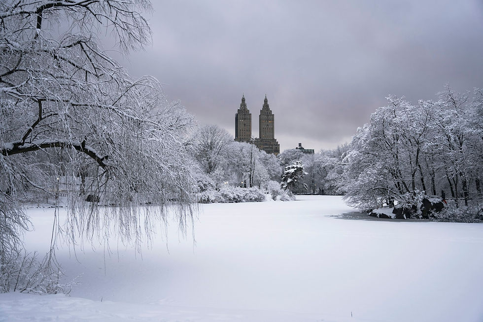Snow-covered Central Park with Upper West Side towers in the distance