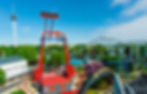 ree