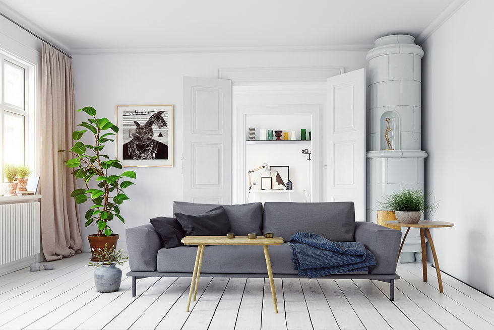 Scandinavian living room home decor