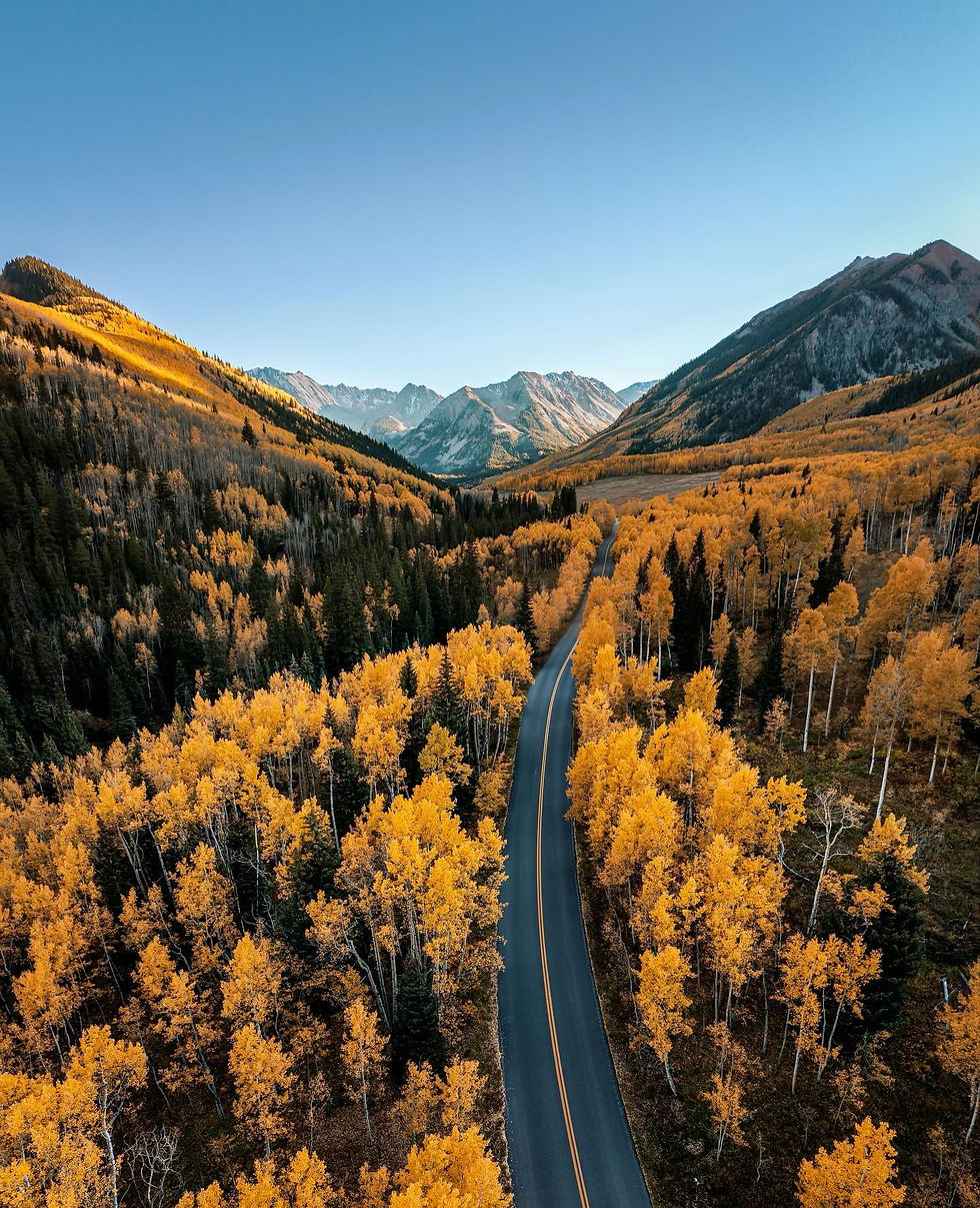 Winding road through bright yellow autumn trees with mountains in the background and clear blue sky, conveying a serene, scenic view.