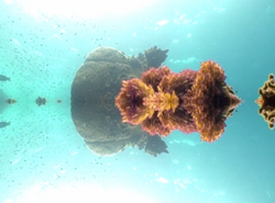 SEA THROUGH THE LOOKING GLASS —