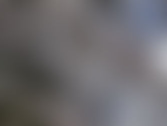 新年度が始まりました!抱負