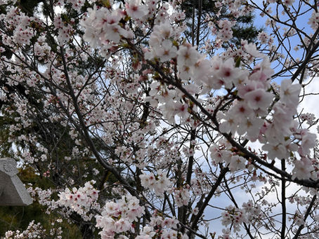新年度が始まりました!抱負