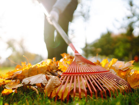 Rake without the Ache!