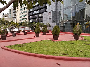 Terraza Polanco.jpg