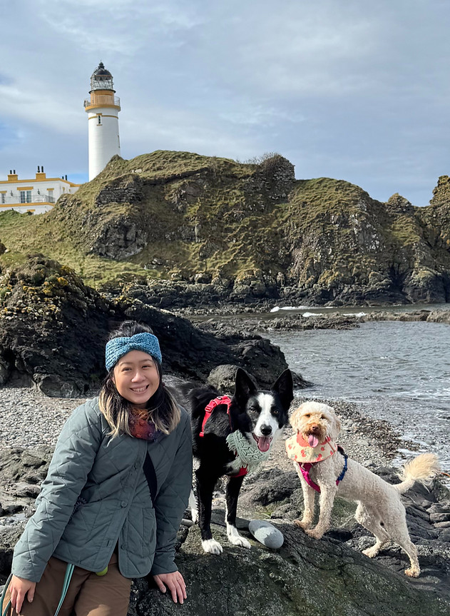 Woman with two dogs on a rocky beach near a lighthouse